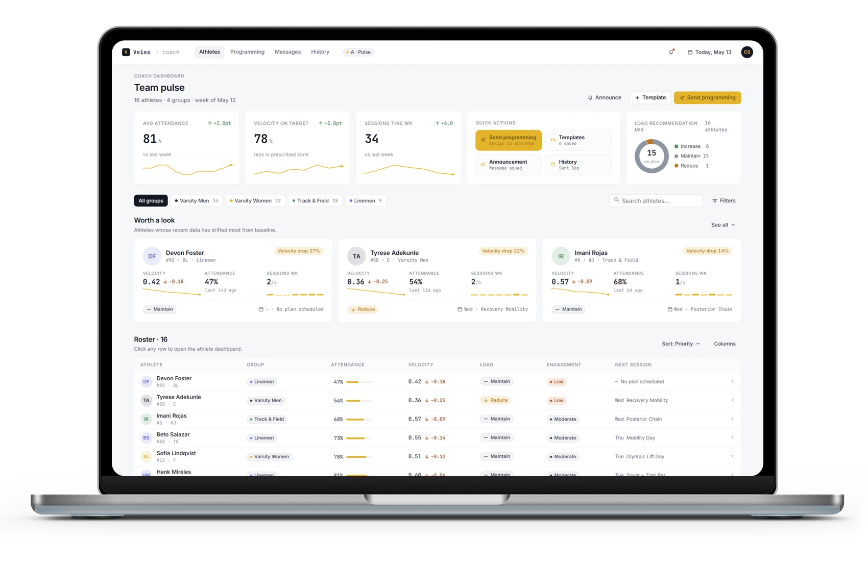 Veiss coach dashboard