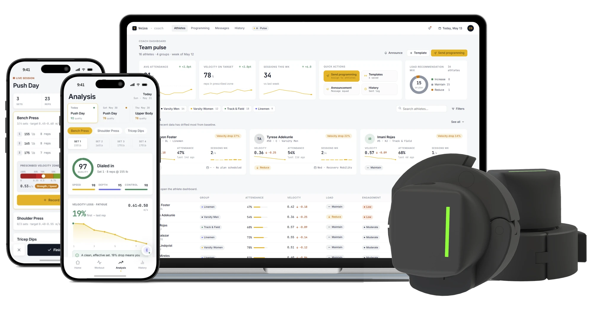 The Veiss platform: sensor, athlete app and coach dashboard